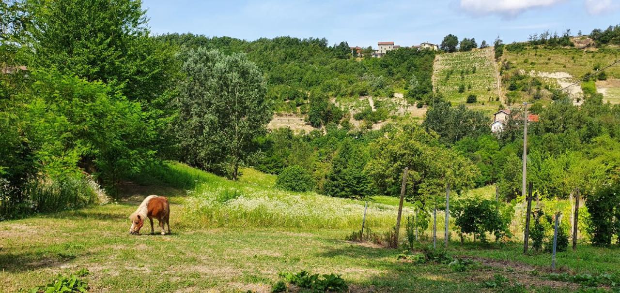 Agriturismo Il Burlino Apartments Lerma Eksteriør billede