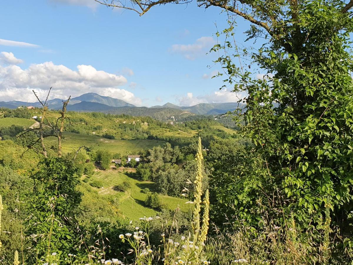 Agriturismo Il Burlino Apartments Lerma Eksteriør billede