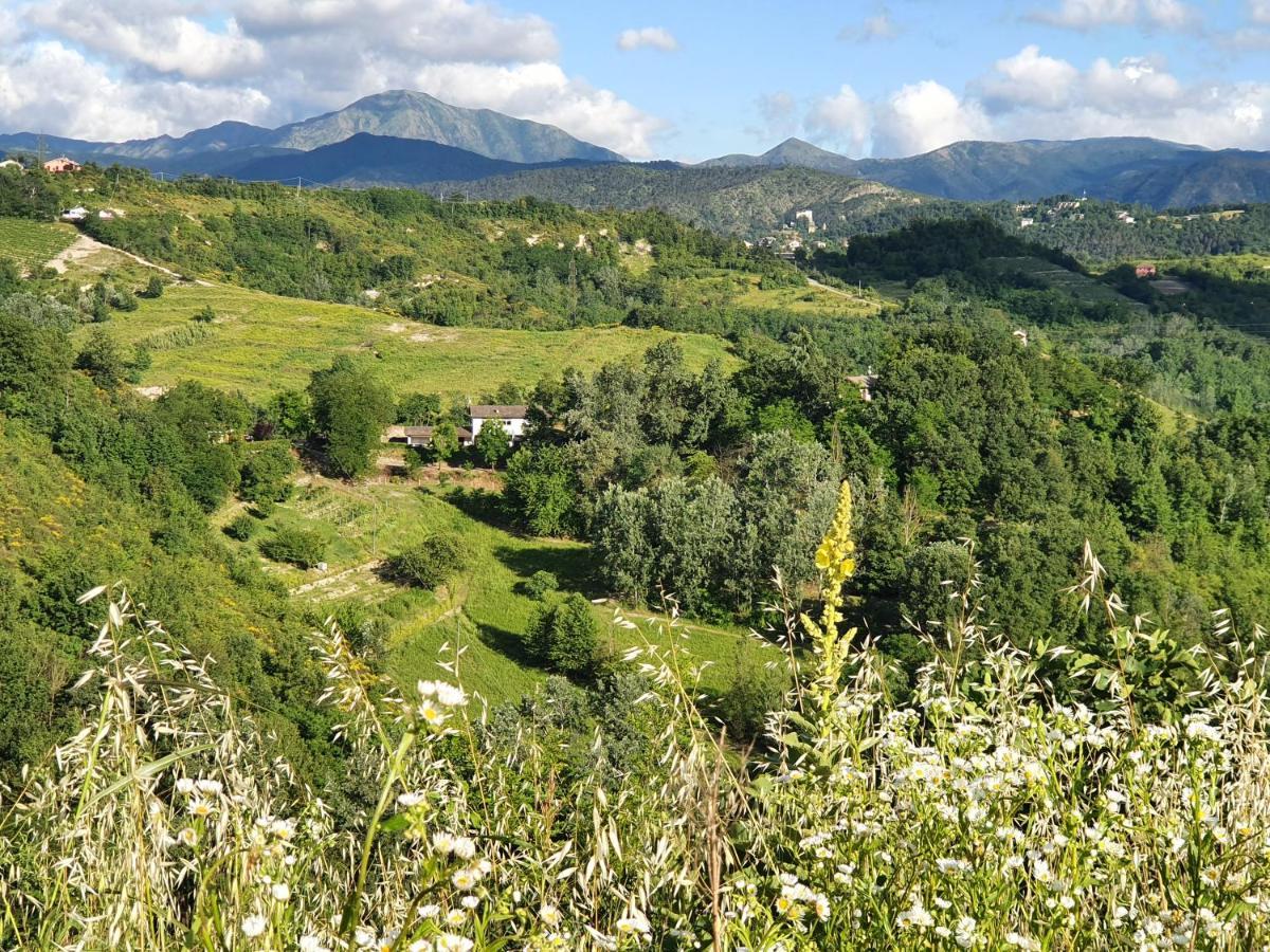 Agriturismo Il Burlino Apartments Lerma Eksteriør billede